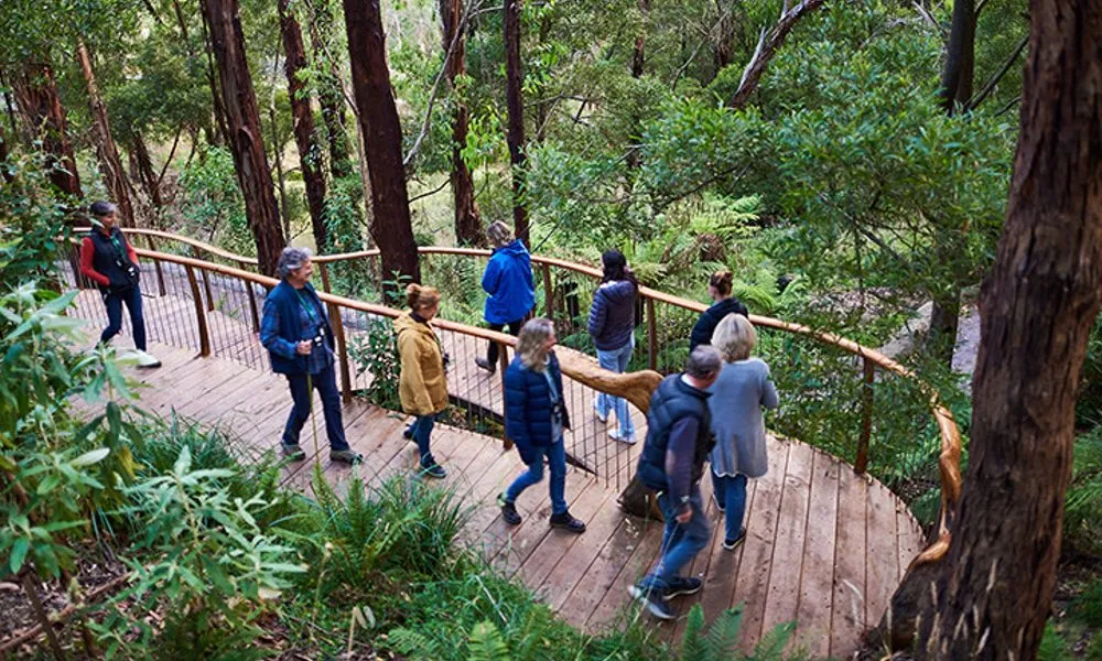 Otways Wildlife Sanctuary Dusk Discovery Tour | Experience Oz-1