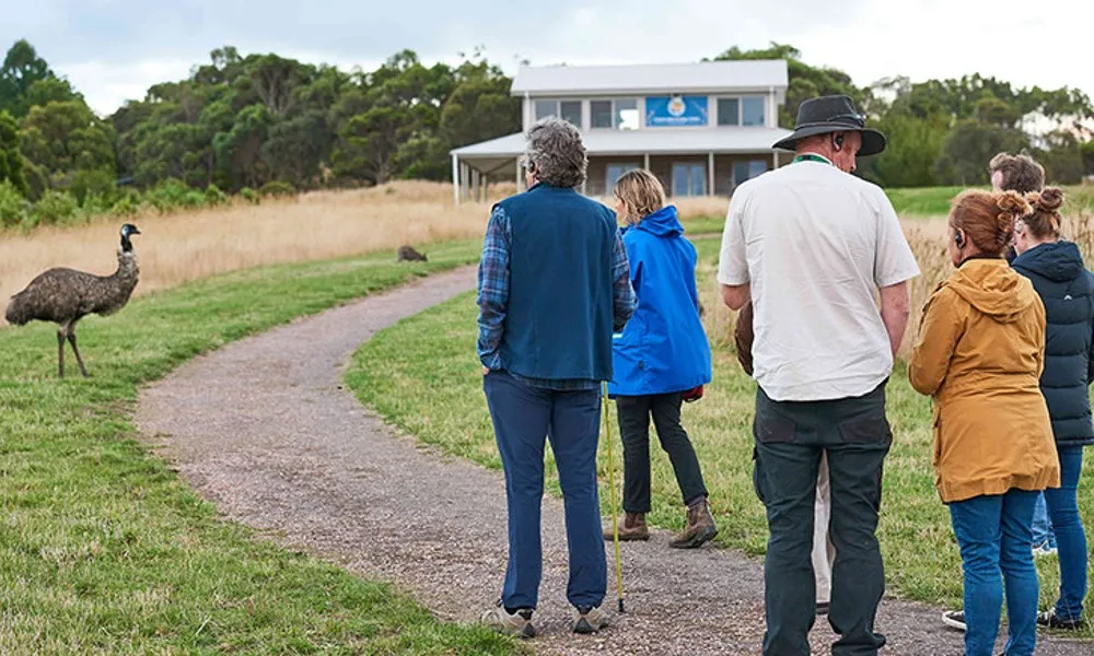 Otways Wildlife Sanctuary Dusk Discovery Tour | Experience Oz-5