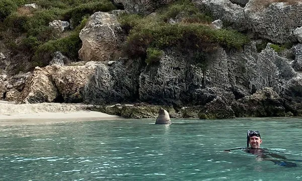 Carnac Island Snorkelling Tour with BBQ Brunch - 4 Hours
