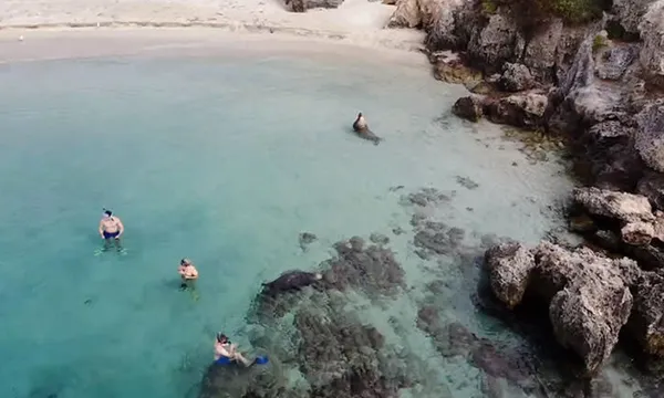 Carnac Island Snorkelling Tour with BBQ Brunch - 4 Hours