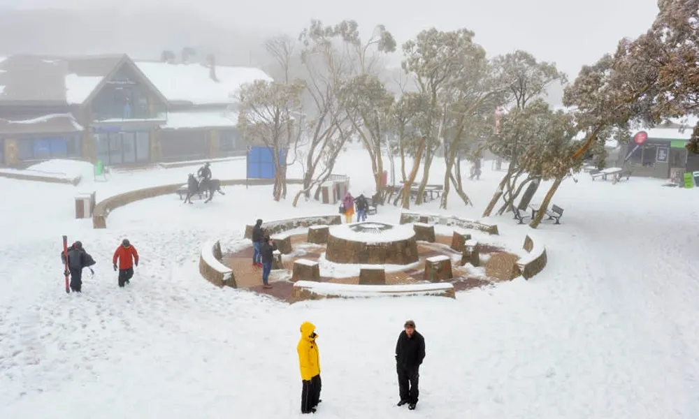 Mt Buller Day Trip with Transfers from Melbourne | Experience Oz-4