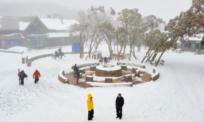 Mt Buller Day Trip with Transfers from Melbourne | Experience Oz