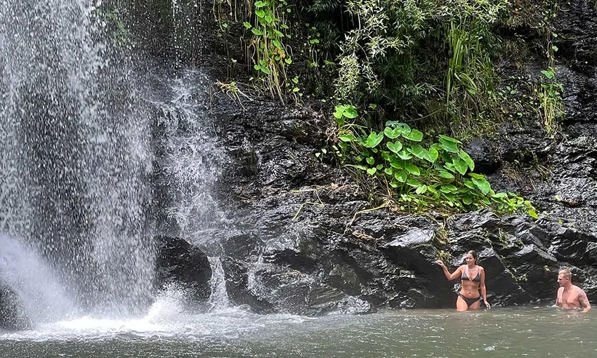 Cassowary Falls and Daintree Rainforest Tour | Experience Oz