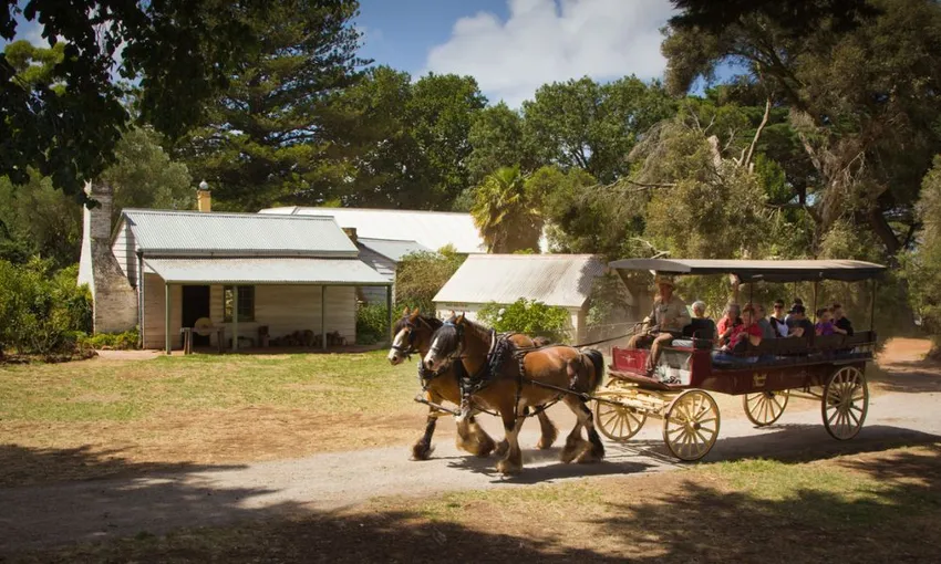 Phillip Island Churchill Island Entry - Book Now | Experience Oz