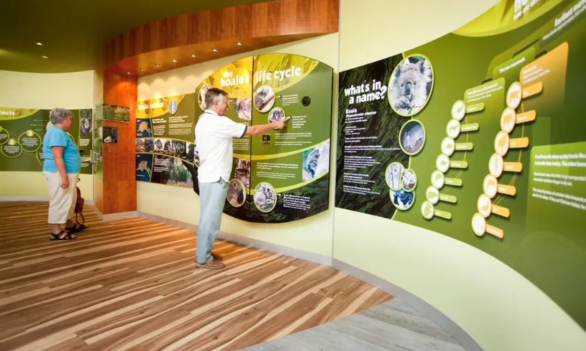 Phillip Island Koala Conservation Reserve Entry | Experience Oz