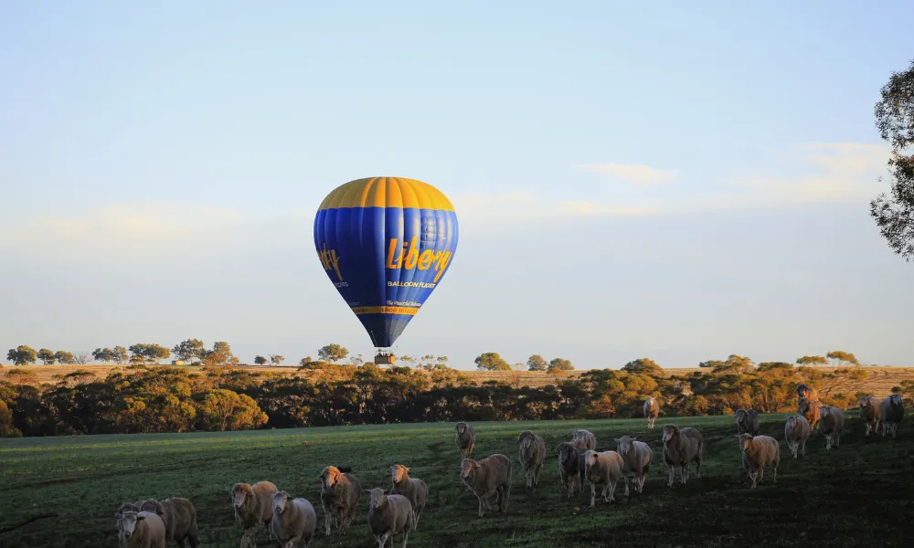 Hot Air Balloon Flight & Breakfast over the Avon Valley | Experience Oz-7
