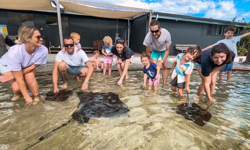 Stingray Cuddles and Shallow Water Experience | Experience Oz