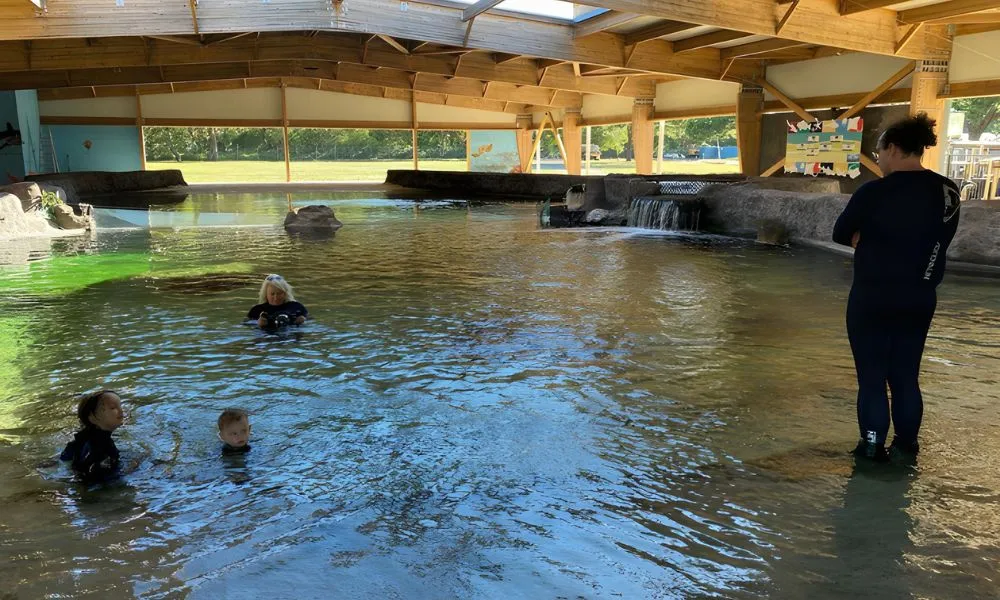 Stingray Cuddles and Shallow Water Experience | Experience Oz-4