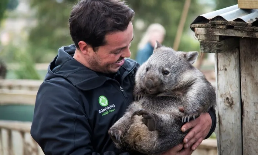 Bonorong Wildlife Park and Richmond Tour | Experience Oz
