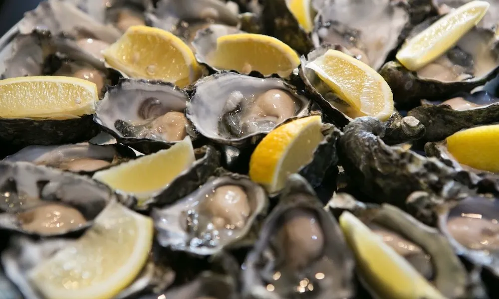 Melbourne Sunset Cruise with Dinner and Drinks | Experience Oz-5