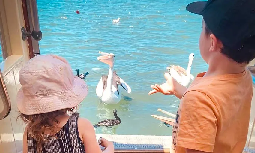 Mooloolaba Canal Cruise - 1 Hour - Book Now | Experience Oz