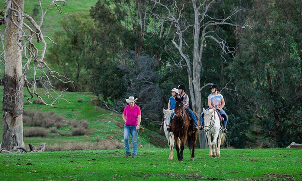 Jarrahdale Child Private Horse Riding Lesson | Experience Oz-3