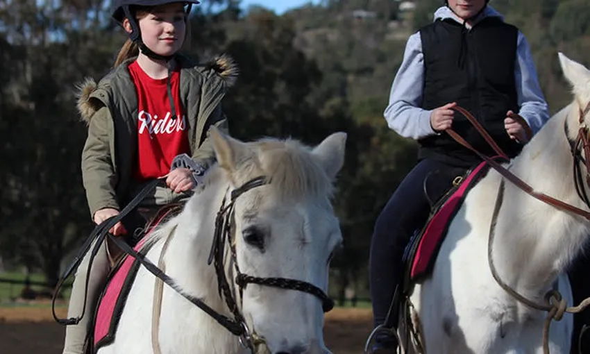 Jarrahdale Child Private Horse Riding Lesson | Experience Oz