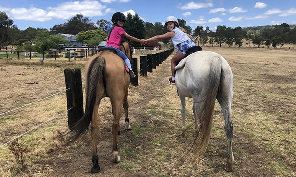 Jarrahdale Horse Trail Ride - 60 Minutes | Experience Oz-2