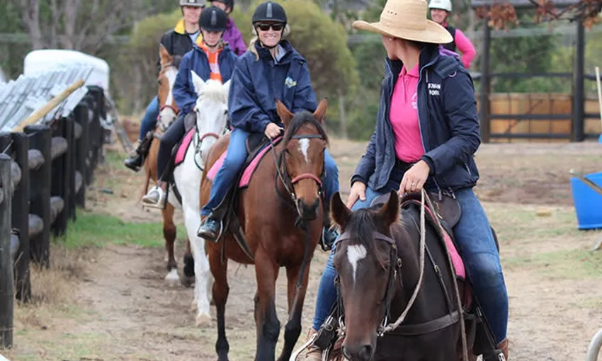 Jarrahdale Horse Trail Ride - 60 Minutes | Experience Oz