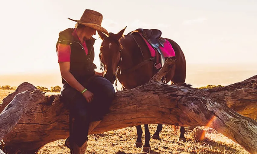 Jarrahdale Horse Trail Ride - 60 Minutes | Experience Oz