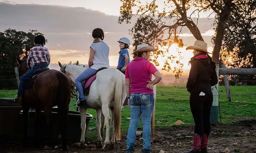 Jarrahdale Horse Trail Ride - 60 Minutes | Experience Oz