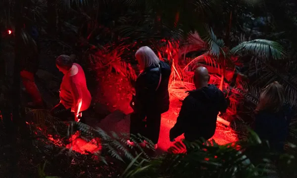 Glow Worm Night Tour, 3.5 Hours – Gold Coast Hinterland