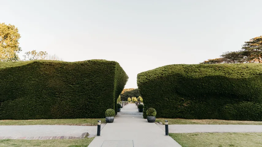 Coombe Estate Melba Cottage Tour & Lunch - For 2 | Experience Oz