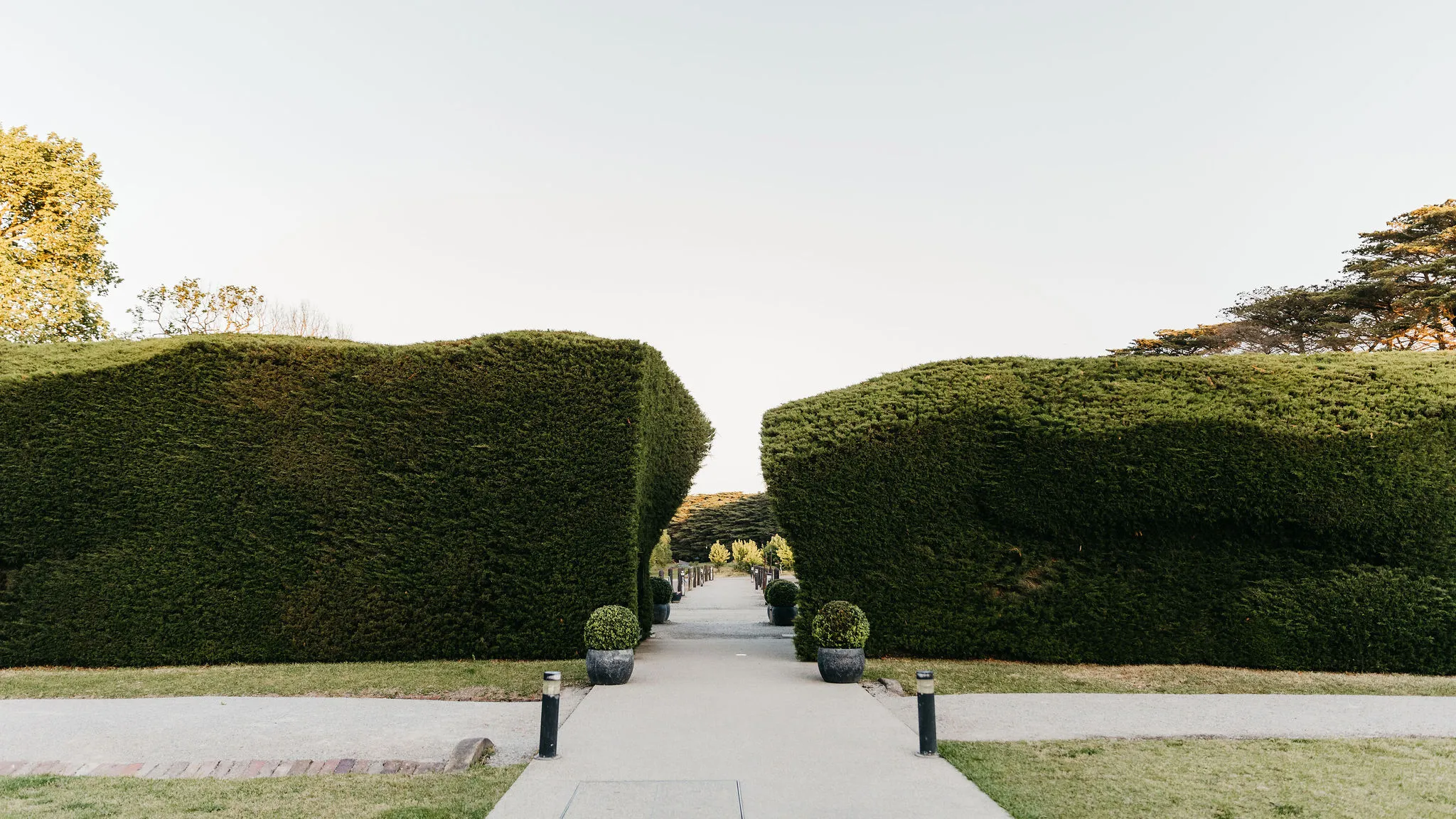 Melba's Garden Tour & 2 Course Lunch - For 2 | Experience Oz-6