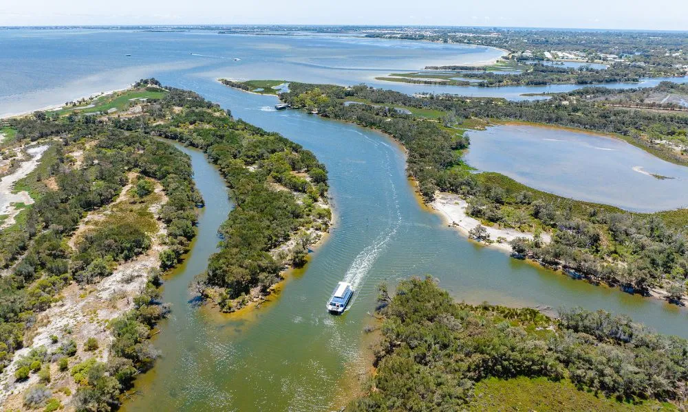 Murray River Scenic Cruise with Lunch | Experience Oz-1