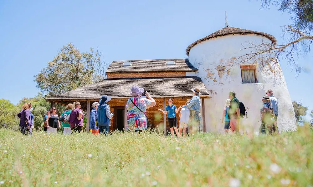 Murray River Scenic Cruise with Lunch | Experience Oz-4