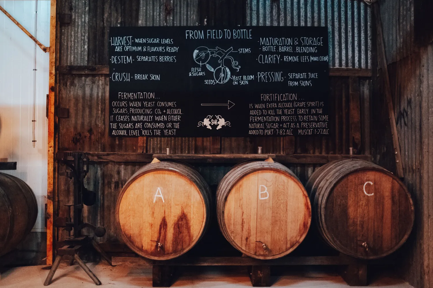 Fortified Wine Blending Workshop - 4 Hours | Experience Oz-3