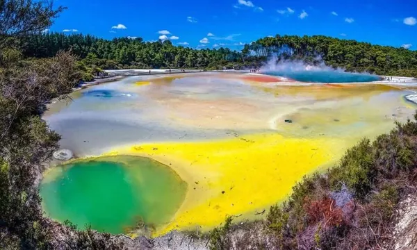 Wai-O-Tapu, Redwood Forest & Blue Springs Tour - Full Day