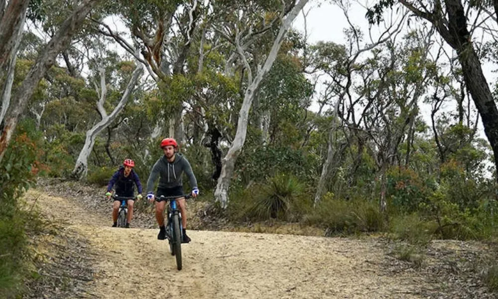 Blue Mountains Hanging Rock Self Guided E-Bike Hire  | Experience Oz-4