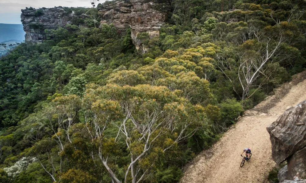 Narrow Neck Mountain E-Bike Hire - Blue Mountains | Experience Oz -3