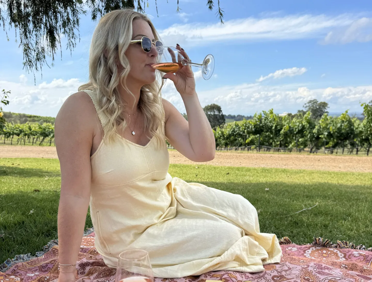 Hunter Valley Mystery Picnic - Half Day | Experience Oz-1