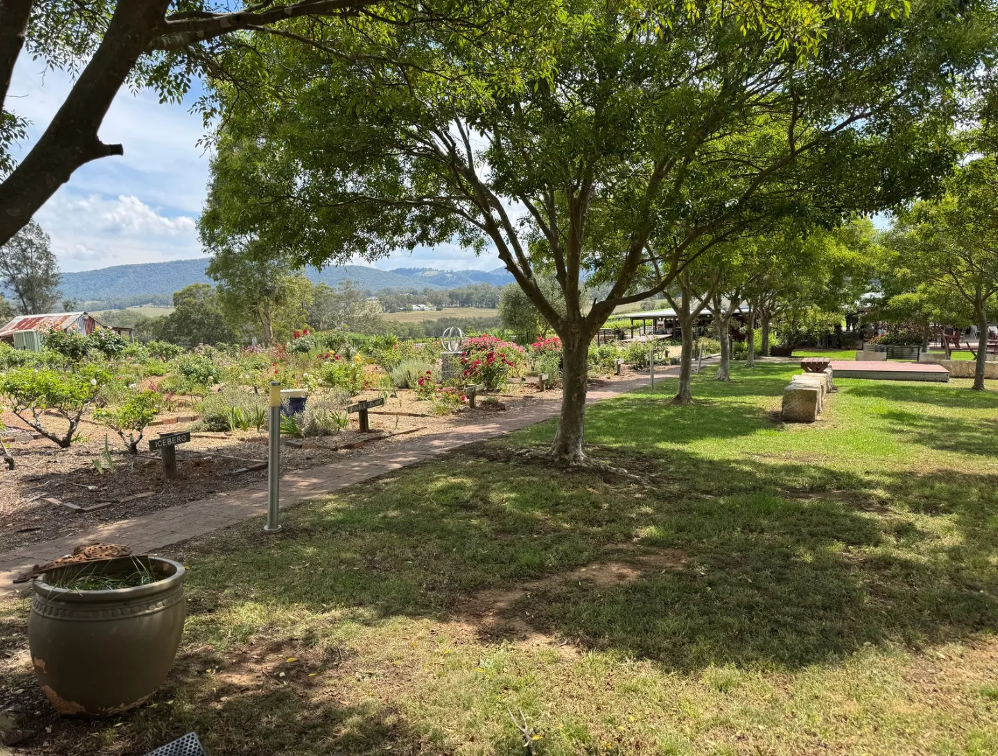 Hunter Valley Mystery Picnic - Half Day | Experience Oz-4