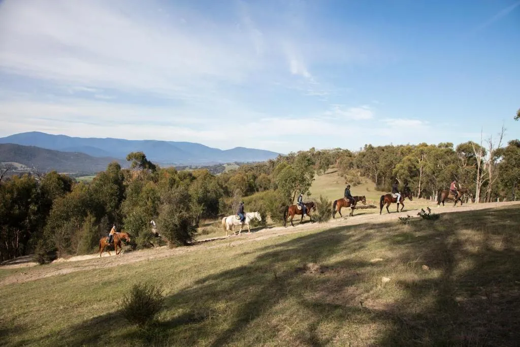 Beginner Friendly Horse Trail Ride - 2.5 Hours | Experience Oz-4