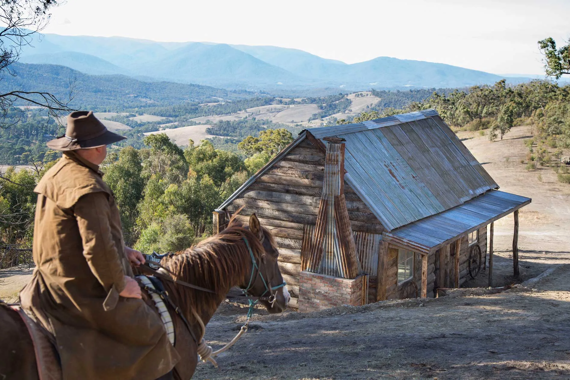 Beginner Friendly Horse Trail Ride - 2.5 Hours | Experience Oz-3
