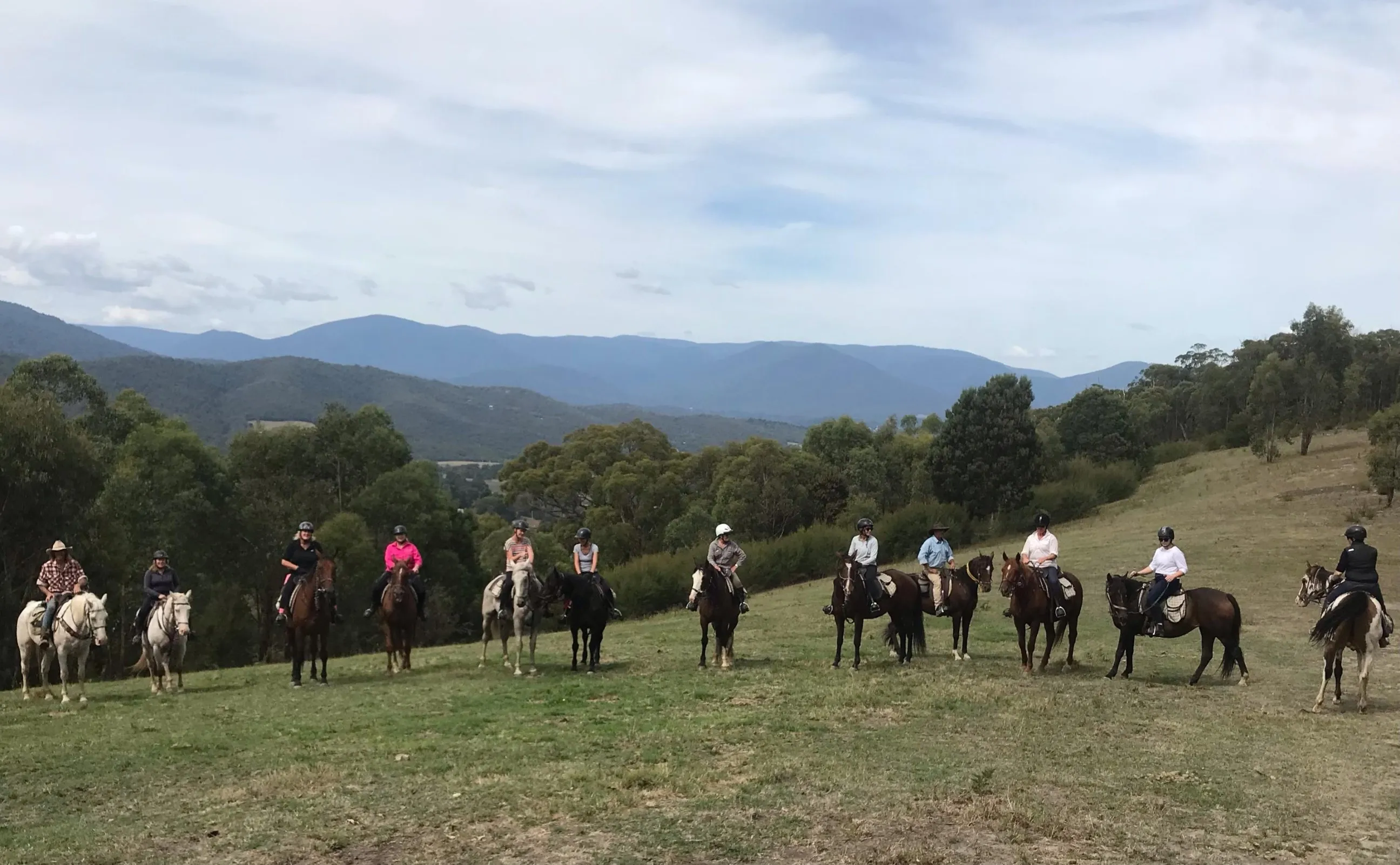 Beginner Friendly Horse Trail Ride - 2.5 Hours | Experience Oz-5