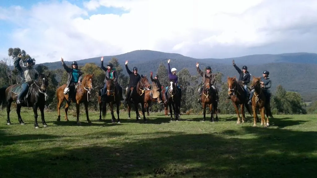 Beginner Friendly Horse Trail Ride - 2.5 Hours | Experience Oz-6