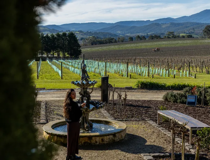 Yarra Valley Mystery Wine & Dine Adventure For 2 | Experience Oz