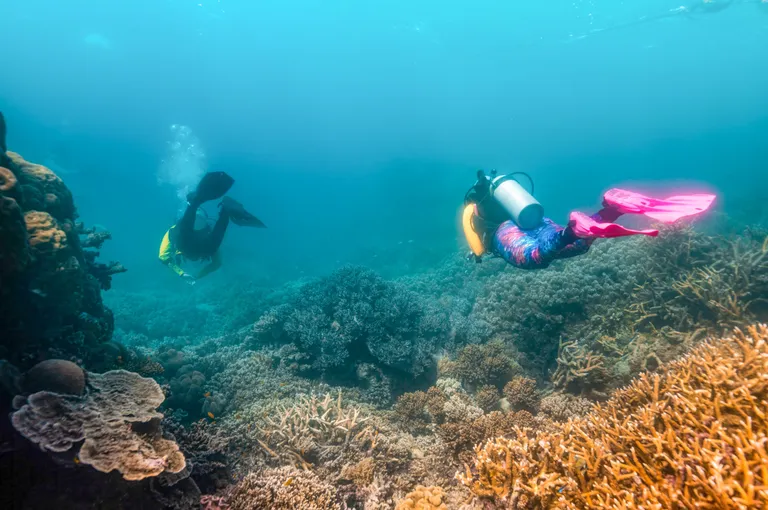 Stress & Rescue Dive Course, 2 Days – Great Barrier Reef