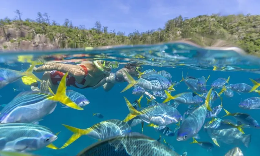 Whitehaven Beach Sail & Snorkel, Full Day – Airlie Beach