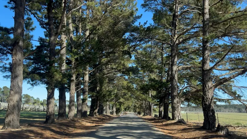 Southern Highlands Wine and Gin Tasting Trail | Experience Oz