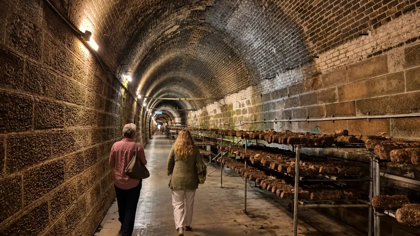 Southern Highlands 3 Tasting Food and Drink Pass | Experience Oz