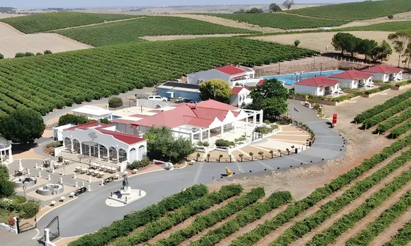 Barossa Valley Wine Tasting and Pizza Lunch - For 2