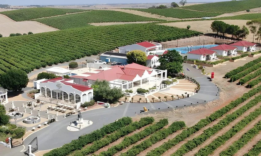 Barossa Wine Tasting and Pizza Lunch - For 2 | Experience Oz