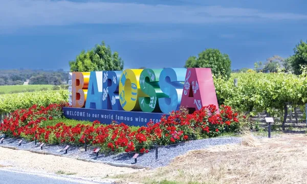 Barossa Valley Wine Tasting and Pizza Lunch - For 2