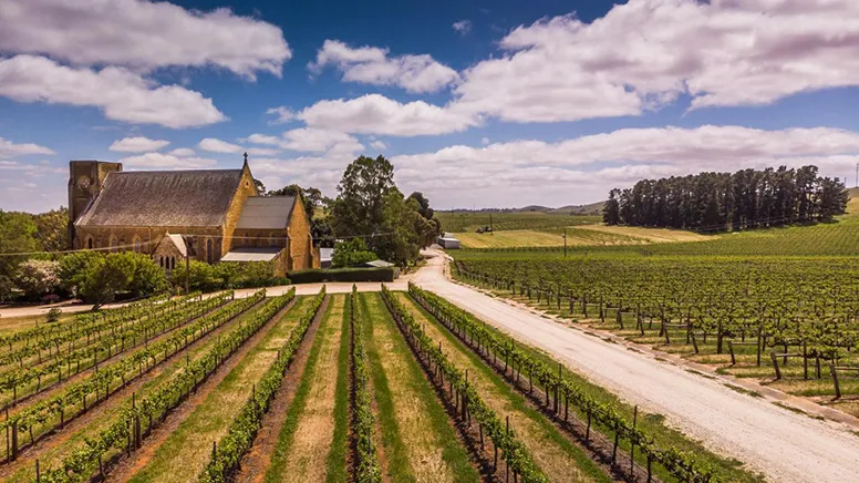 Clare Valley Private Wine Tour from Adelaide | Experience Oz