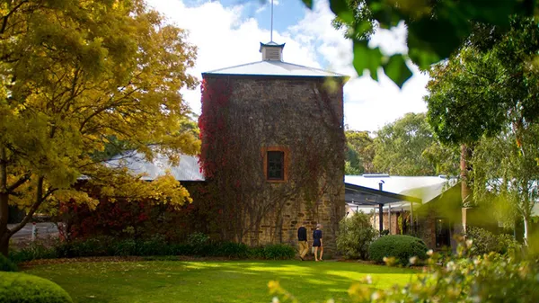 Clare Valley Private Wine Tour from Adelaide - Full Day