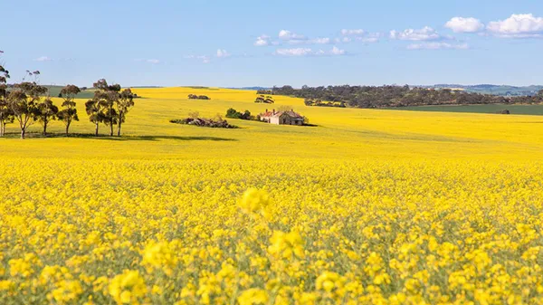 Clare Valley Private Wine Tour from Adelaide - Full Day