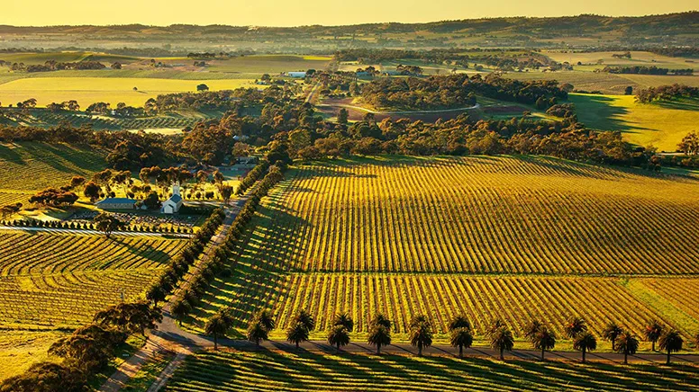 Barossa Valley Private Wine Tour - Full Day | Experience Oz