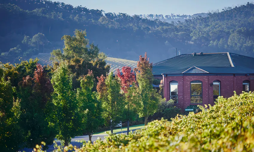Wine Tasting & Three-Course Lunch - For 2 | Experience Oz