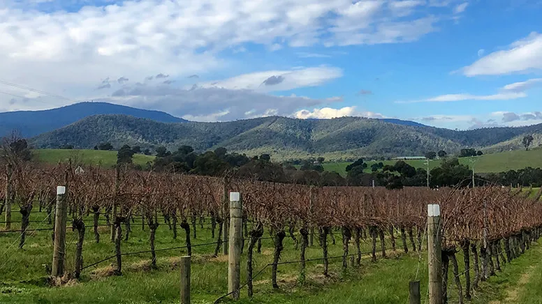 Yarra Valley Private Tasting, Tour & Lunch For 2 | Experience Oz